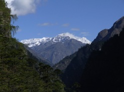 Looking north up the Mo Chu valley towards Laya from the trekking path